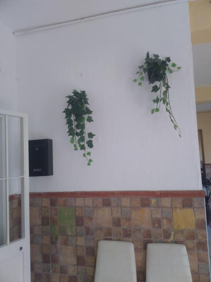 Precioso Apartamento Moderno Cerca Del Carrefour Rosaleda Málaga Exteriör bild